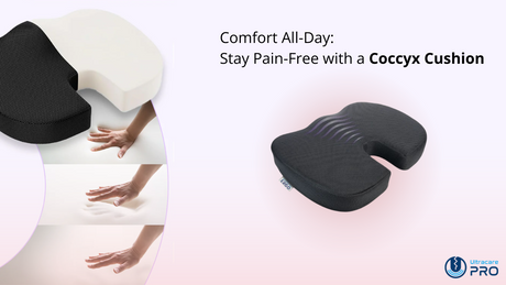 Coccyx Cushion