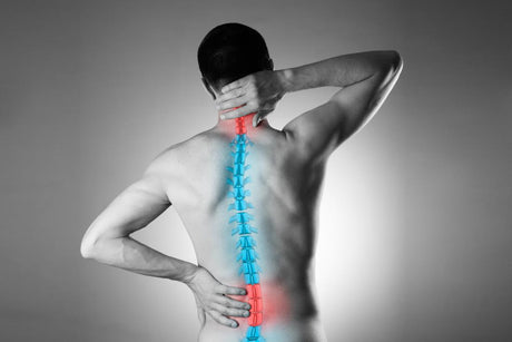 illustration-of-spine-on-man-with-back-pain