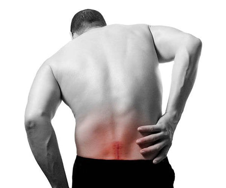 Spine and Sciatica