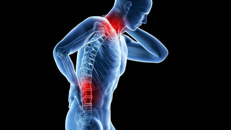 Pain of Neck and Back