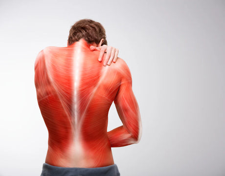 Home Remedies for Body Pain, Tiredness and Muscle Pain