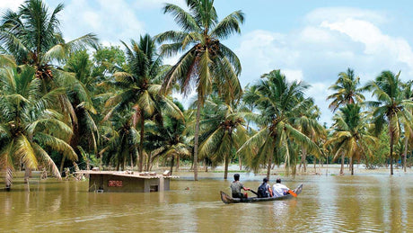 kerala