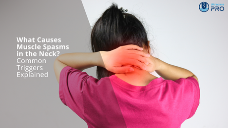 what causes muscle spasms in the neck​